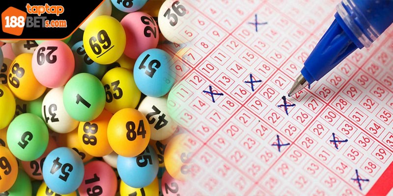 Hướng dẫn cách dò Xổ số Vietlott Power 6/55 nhanh gọn