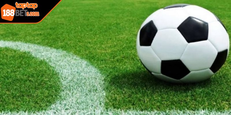 Khái niệm kèo trên kèo dưới là gì cho tân thủ