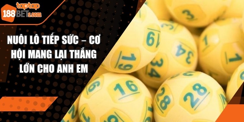 Nuôi lô tiếp sức