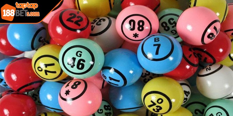 Lựa chọn chiến lược nuôi số 2-3 ngày để đảm bảo không bỏ lỡ vị trí ghép cầu